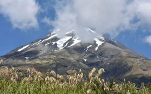 Egmont National Park