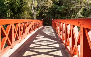 Pukekura Park bridge in New Plymouth