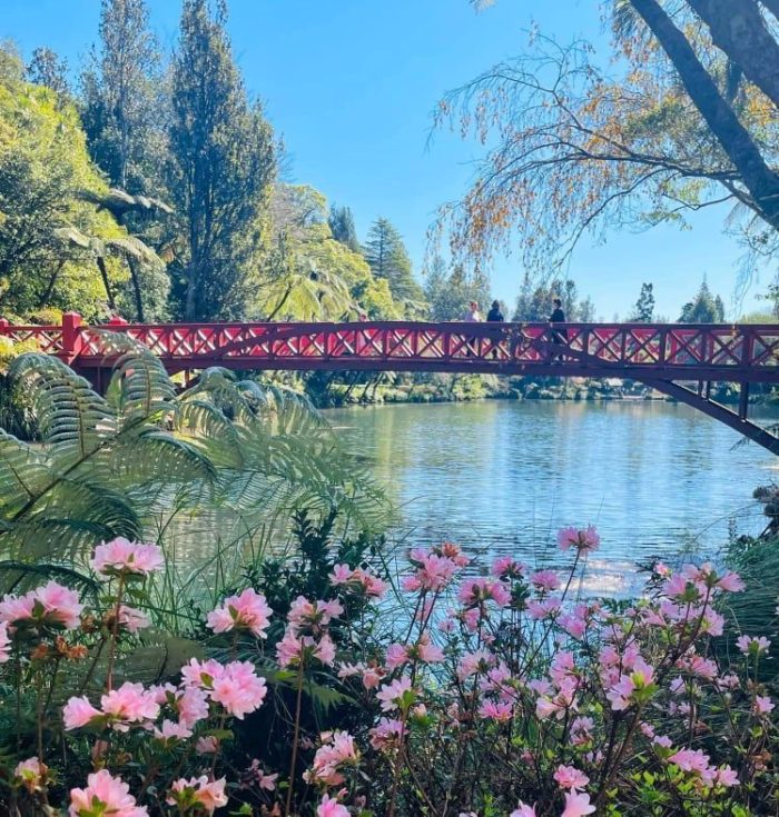 Poetry Bridge, Pukekura Park