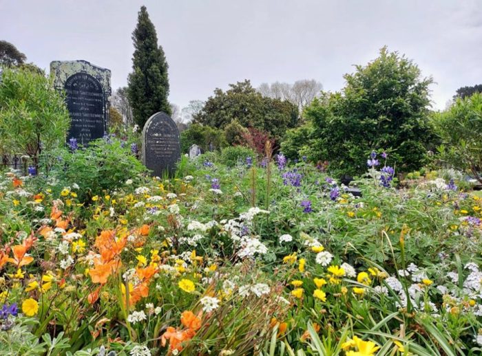 Te Henui Cementry